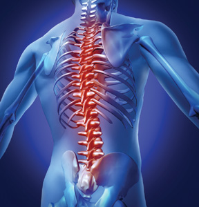 Orthopedic mattress in aligarh